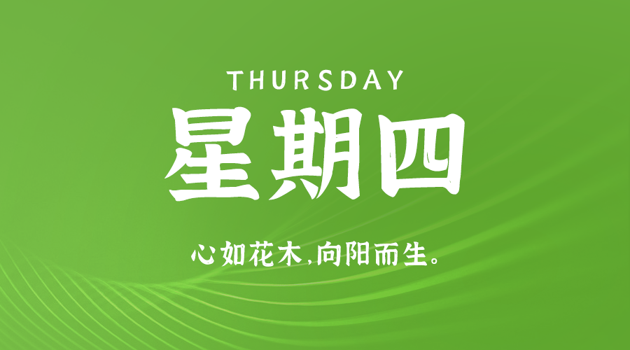 08日15日，星期四，让我们在每日六十秒的洞察中把握世界的脉动！