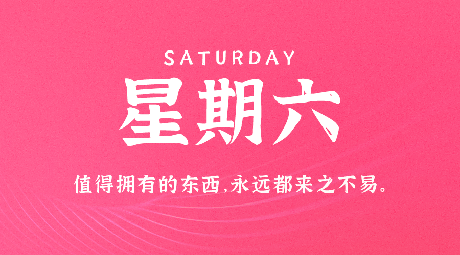 11日23日，星期六，让我们在每日六十秒的洞察中把握世界的脉动！