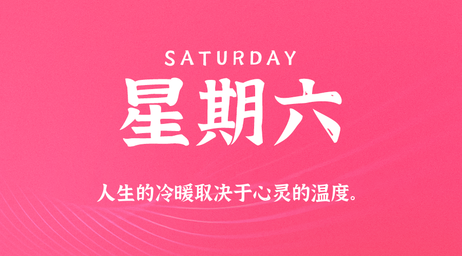 01日31日，星期六，让我们在每日六十秒的洞察中把握世界的脉动！